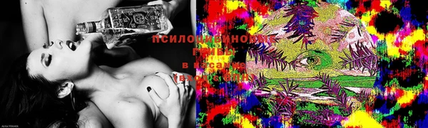 МДПВ Белокуриха